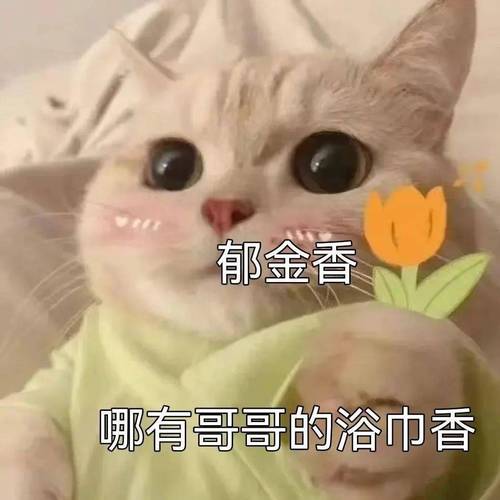 郁金香 哪有哥哥的浴巾香