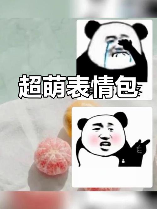 超搞笑表情包合集