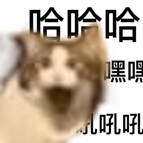 哈哈哈
