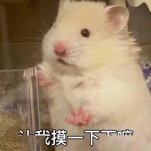 L模一下