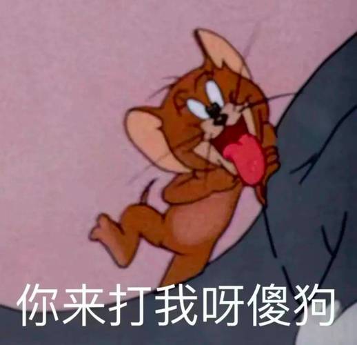 你来打我呀傻狗