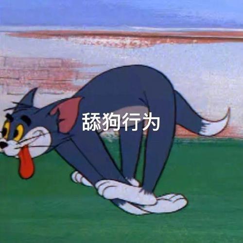 舔狗行为聊天斗图表情包