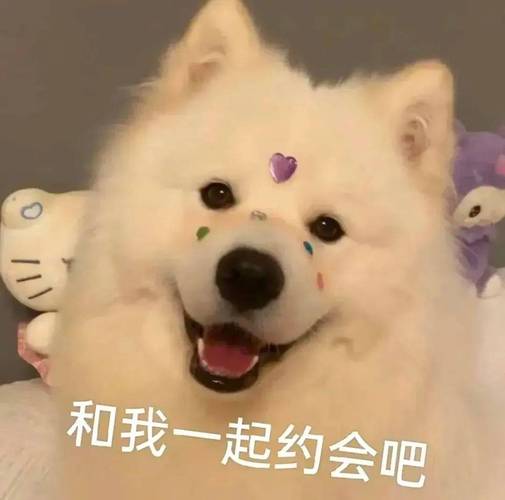 和我一起约会吧