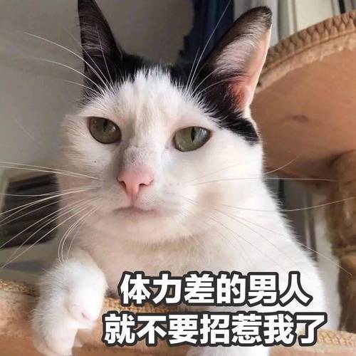 体力差的男人 就不要招惹我了