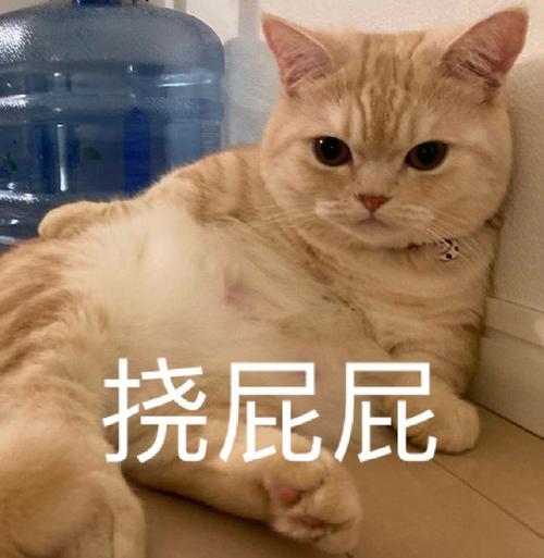 挠屁屁污污表情包图片：逗翻全场的搞笑瞬间