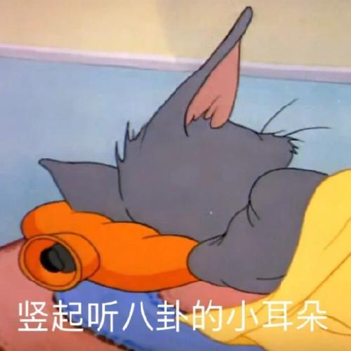 竖起听八卦的小耳朵搞笑表情包