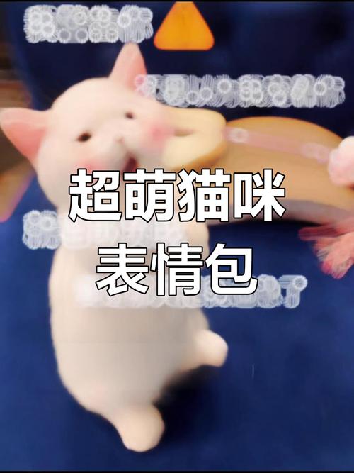 超萌猫咪 表情包
