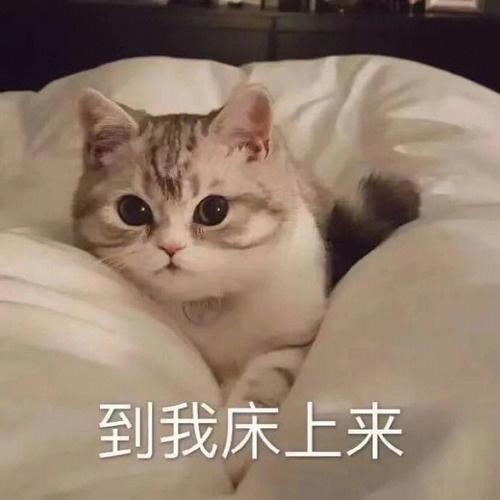 到我床上来