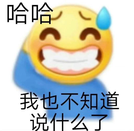 哈哈 我也不知道 说什么了