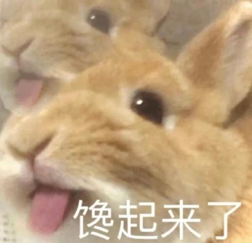 馋起来了