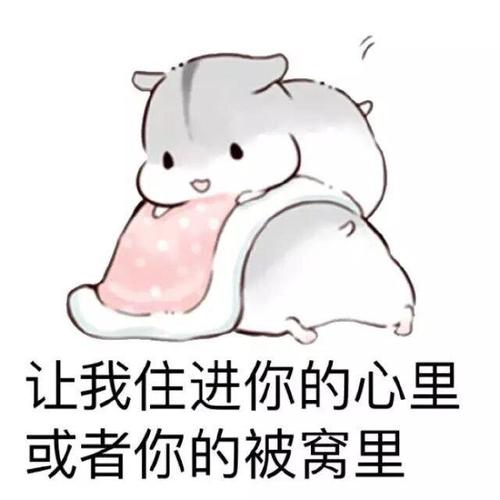 让我住进你的心里 或者你的被窝里