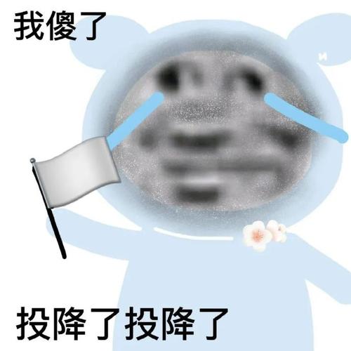 我傻了 投降了投降了