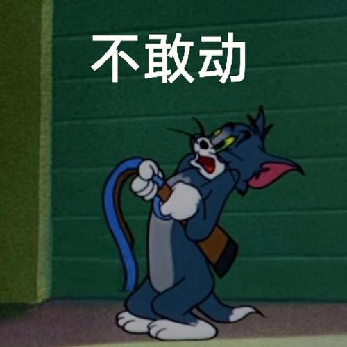 2025最火不敢动表情包!網友:太搞笑啦!