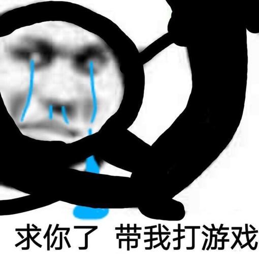 求你了 带我打游戏