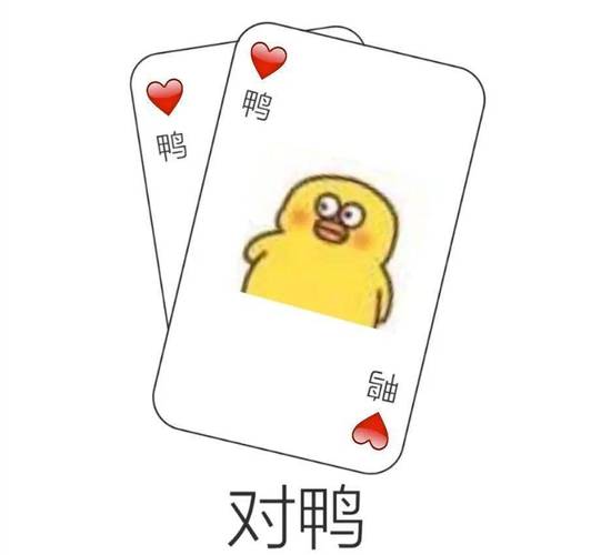 鸭 鸭 对鸭