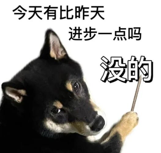 今天有比昨天 进步一点吗 没的