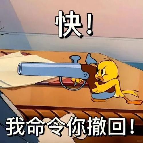 快！ 我命令你撤回！