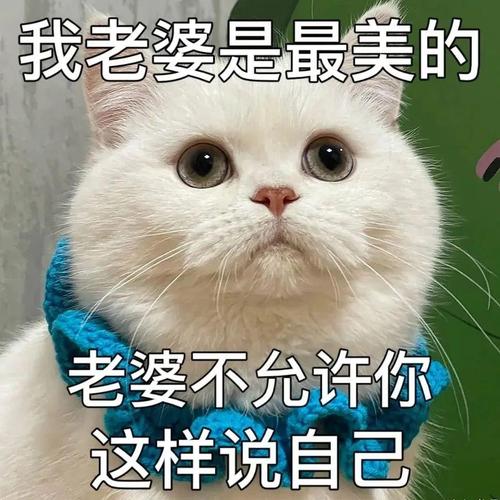 我老婆是最美的 老婆不允许你 这样说自己
