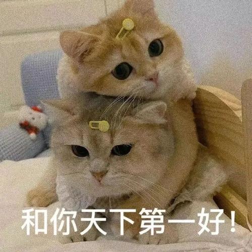 和你天下第一好！