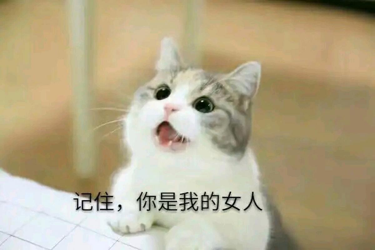 记住，你是我的女人