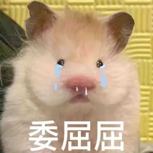 委屈屈