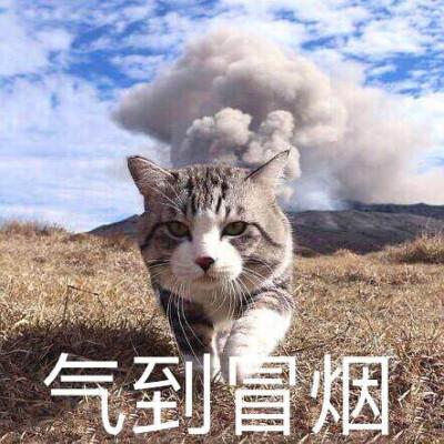气到自烟
