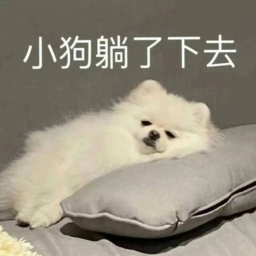 小狗躺了下去_热门表情包_吗喽想o尿