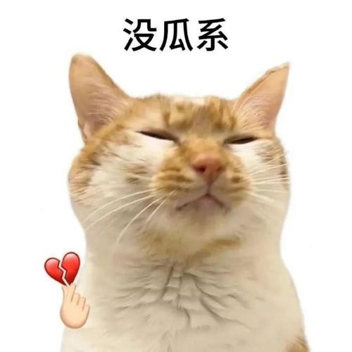 没瓜系斗图表情包全集