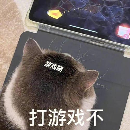 游戏脑 打游戏不