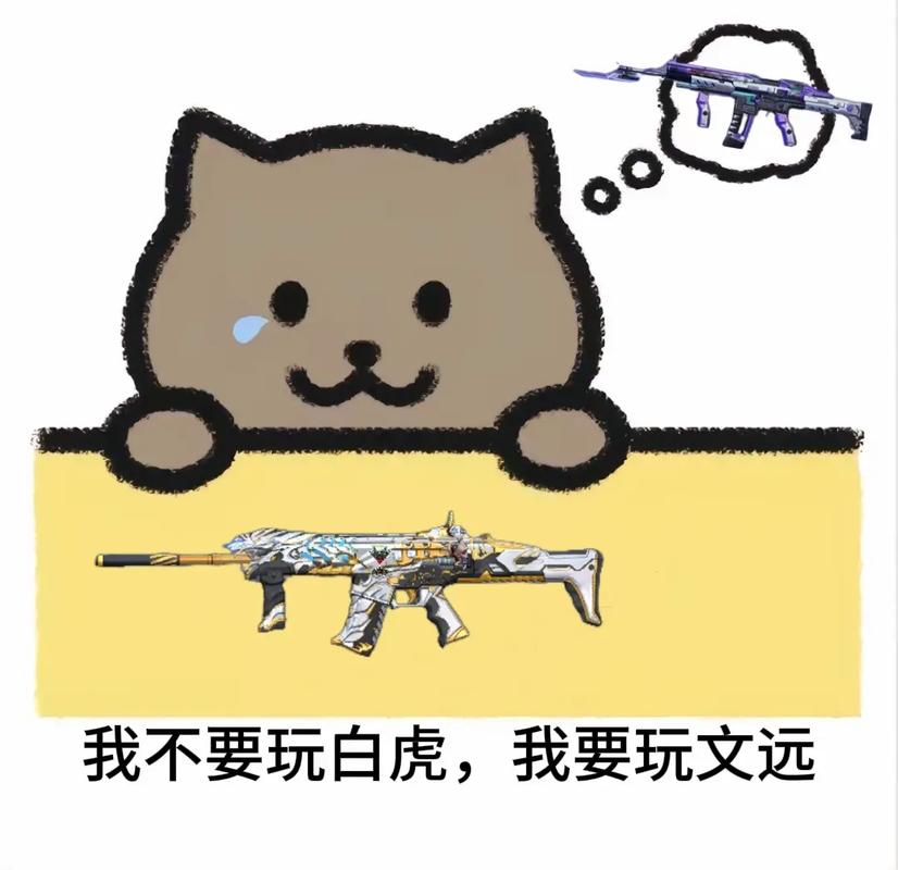 我不要玩白虎，我要玩文远