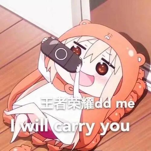 王者荣耀ddme Iwlcarryyou