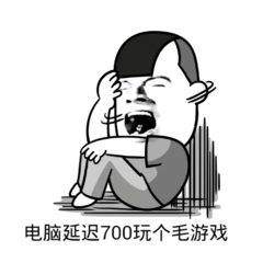 电脑延迟700玩个毛游戏