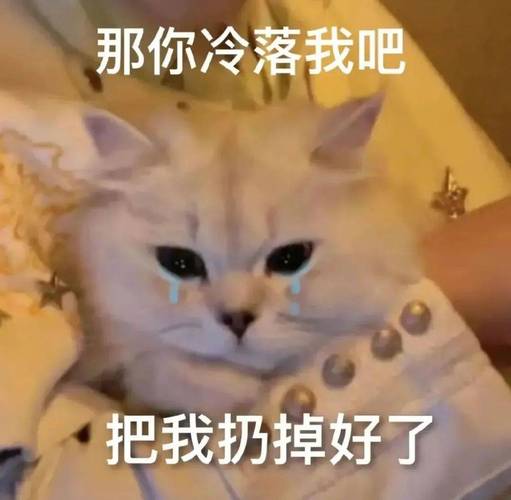 那你冷落我吧 把我扔掉好了