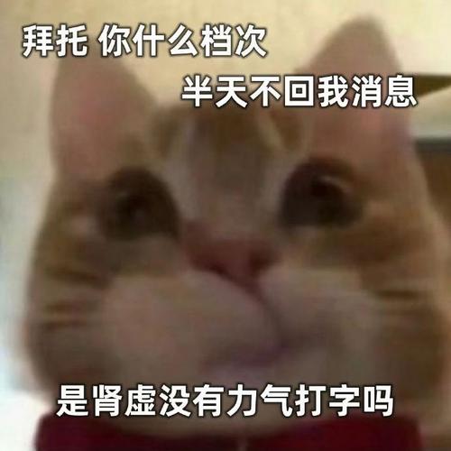 拜托你什么档次 半天不回我消息 是肾虚没有力气打字吗