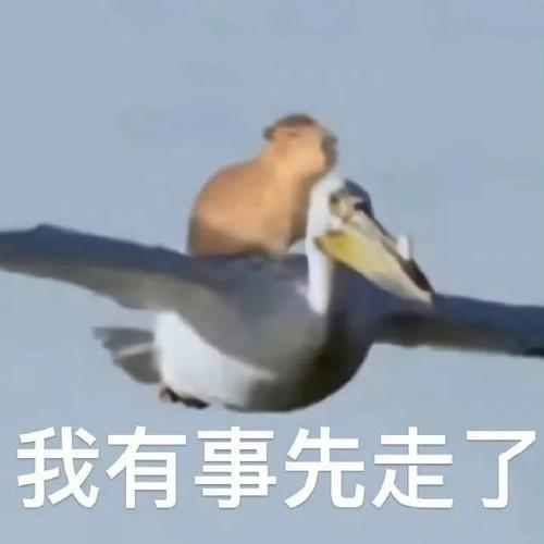 我有事先走了？搞笑斗图表情包必备