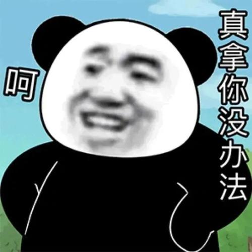 真拿你没办法 呵