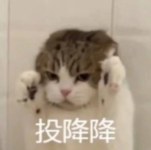 投降降