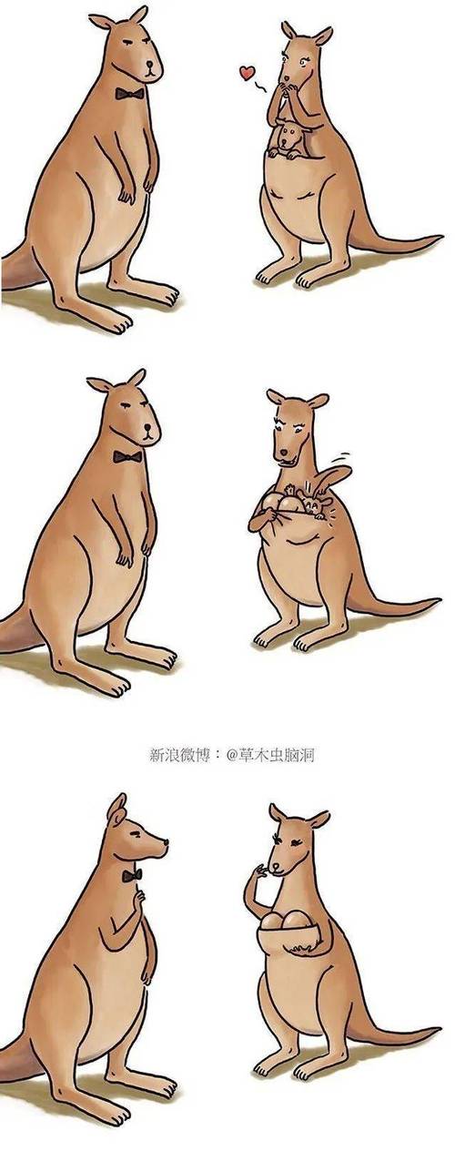 ：@草木虫脑洞