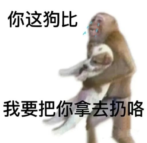 你这狗比 我要把你拿去扔咯