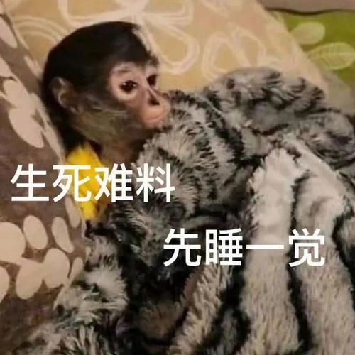 生死难料 先睡一觉