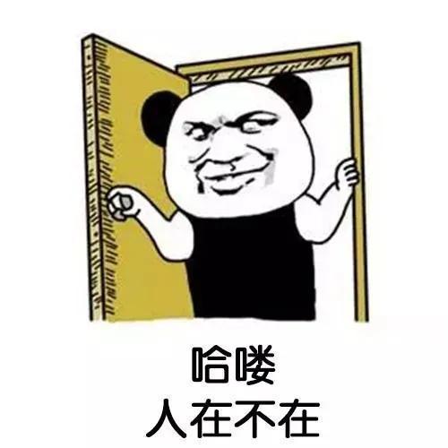 哈喽 人在不在