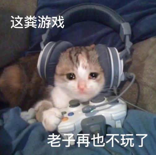 这类游戏 老子再也不玩了