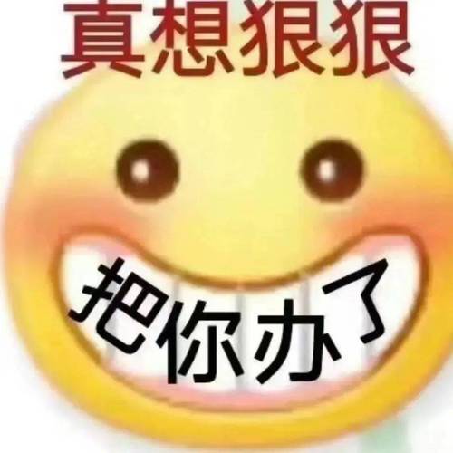 真想狠狠 把你办