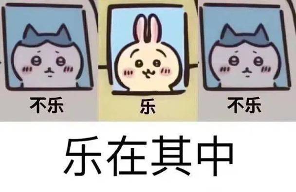 不乐 乐 不乐 乐在其中
