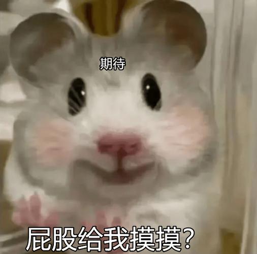 期待 屁股给我摸摸？