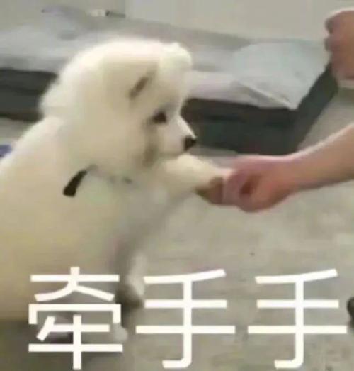 搞笑表情包-牵手手