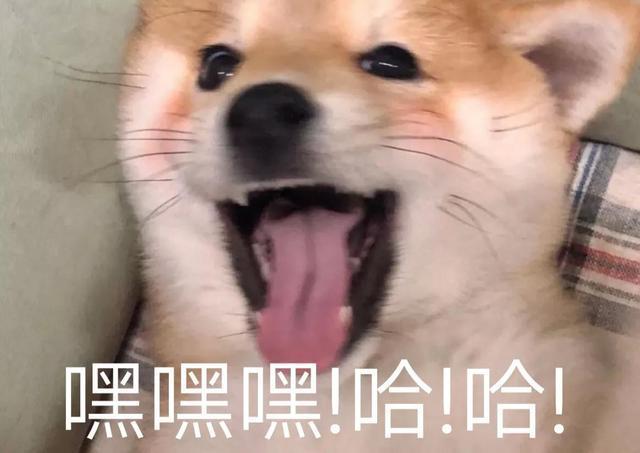 嘿嘿嘿！哈！哈！