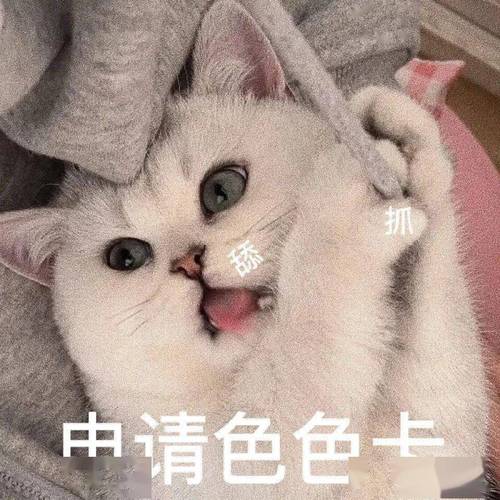 中请色色