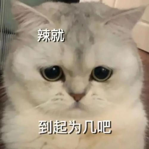 辣就 到起为几吧