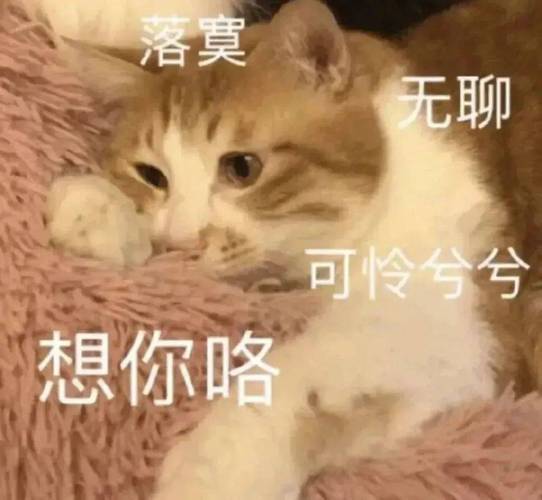 落寞 无聊 可怜兮兮 想你咯